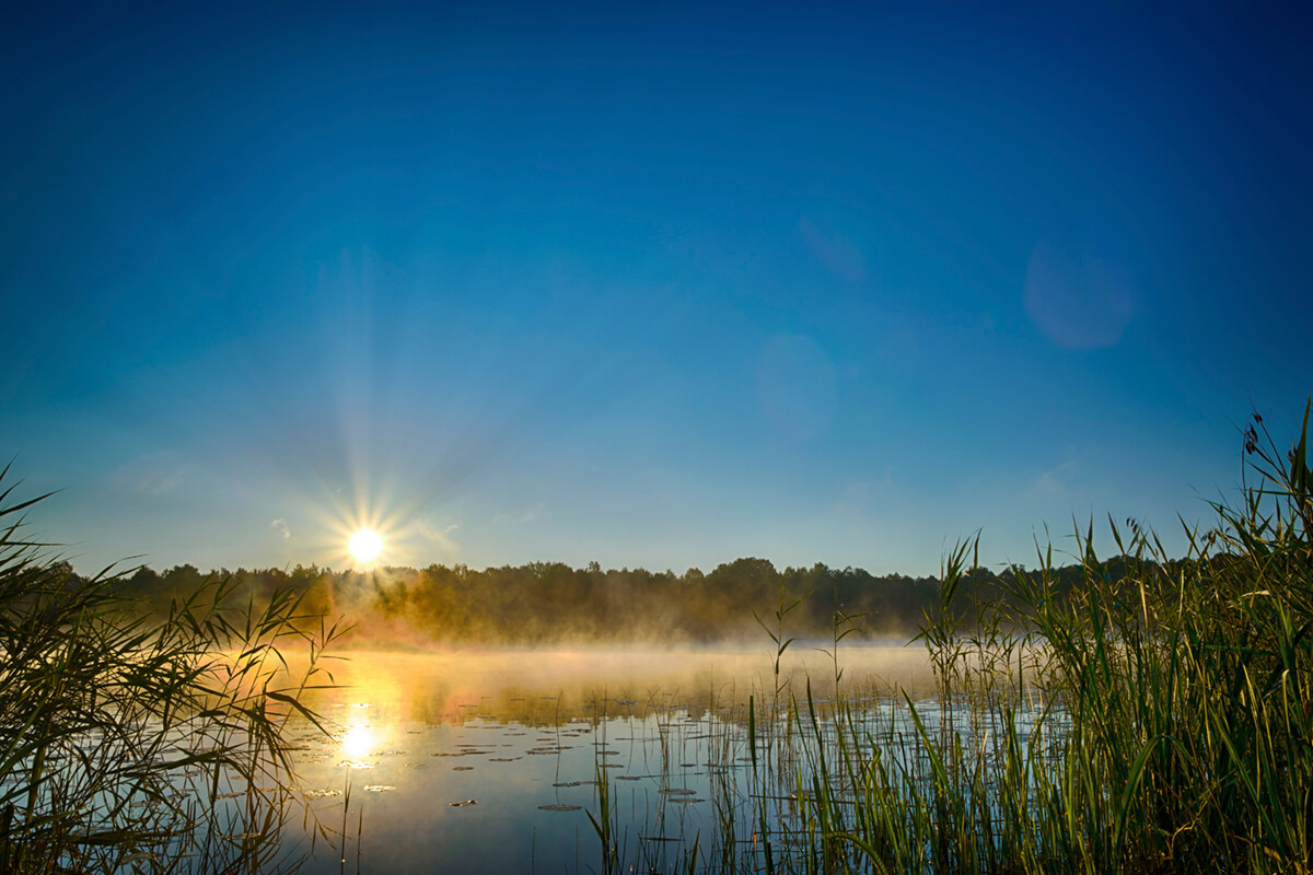 Rejsy motorówką po jeziorach augustowskich- wschód słońca nad jeziorem